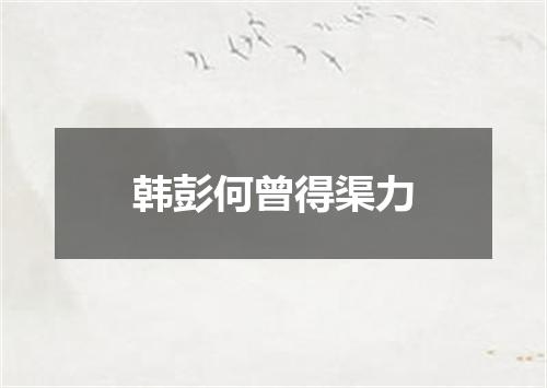 韩彭何曾得渠力