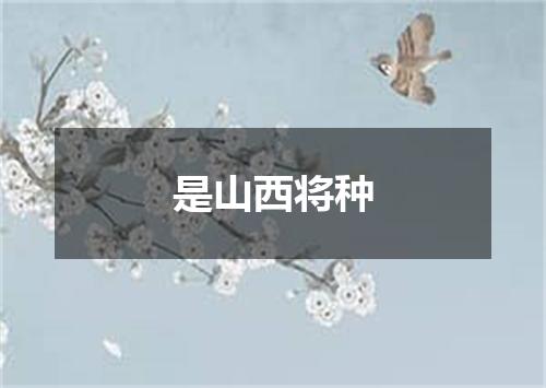 是山西将种