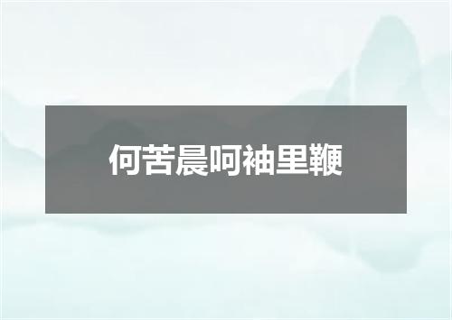何苦晨呵袖里鞭