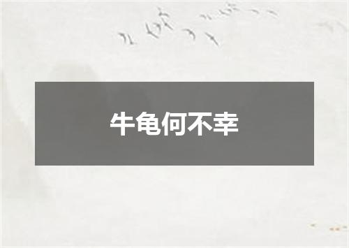 牛龟何不幸
