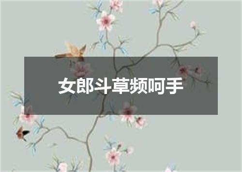 女郎斗草频呵手