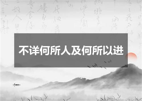 不详何所人及何所以进
