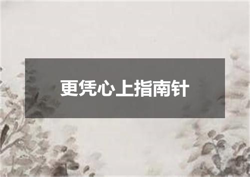 更凭心上指南针