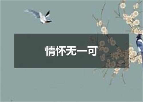 情怀无一可