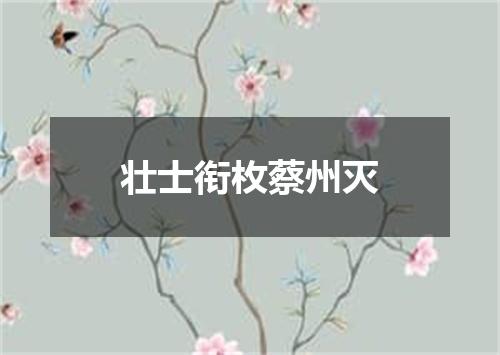 壮士衔枚蔡州灭