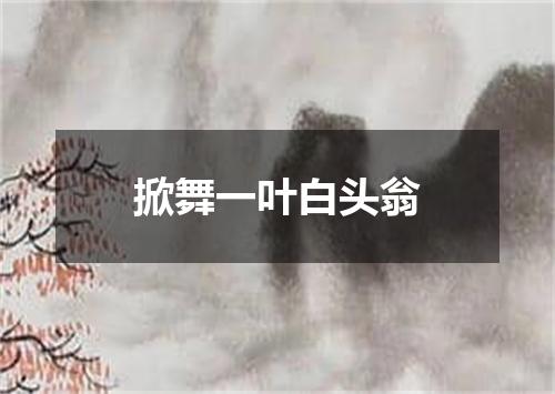 掀舞一叶白头翁