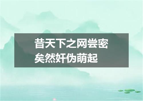 昔天下之网尝密矣然奸伪萌起
