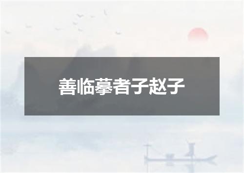 善临摹者子赵子