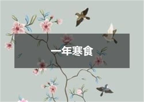 一年寒食