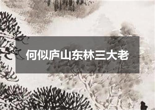 何似庐山东林三大老
