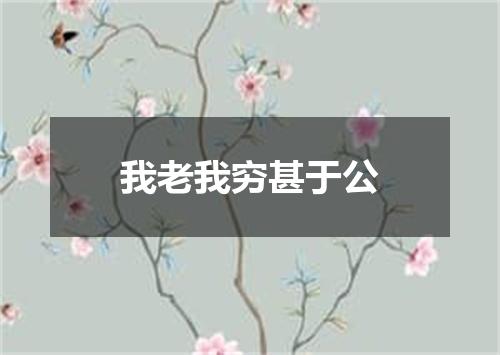 我老我穷甚于公