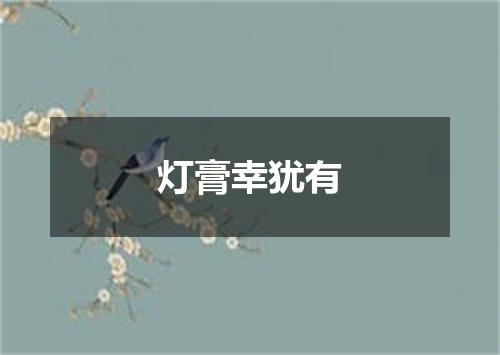 灯膏幸犹有