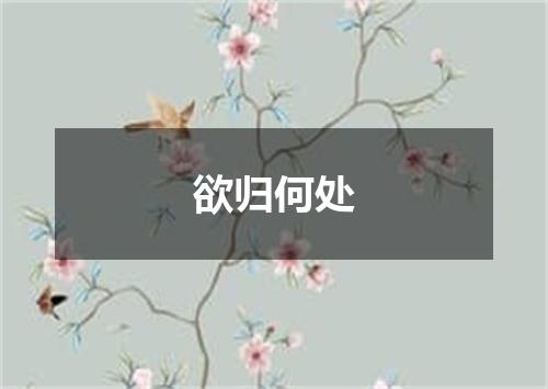 欲归何处