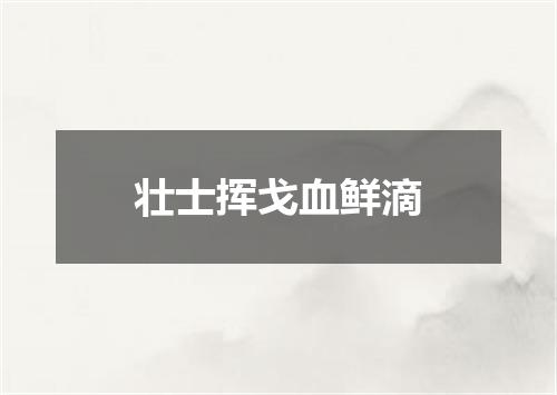 壮士挥戈血鲜滴