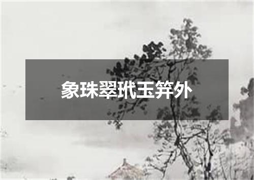 象珠翠玳玉笄外