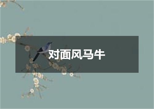 对面风马牛