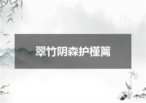 翠竹阴森护槿篱
