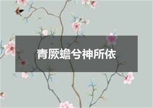 青厥蟾兮神所依
