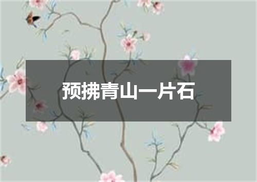 预拂青山一片石