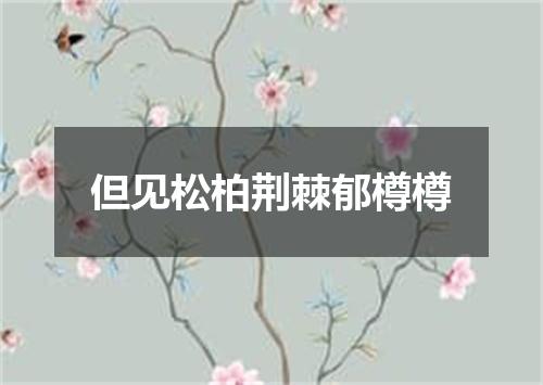但见松柏荆棘郁樽樽