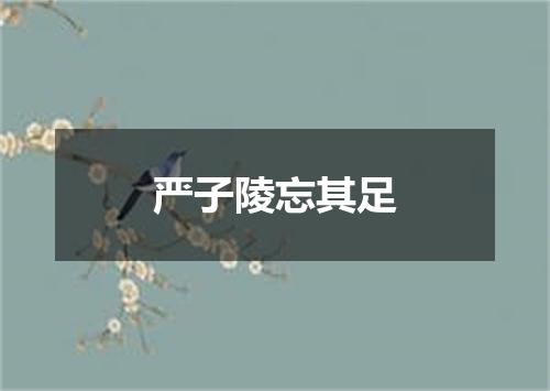 严子陵忘其足