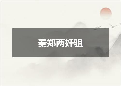 秦郑两奸驵