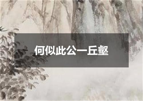 何似此公一丘壑