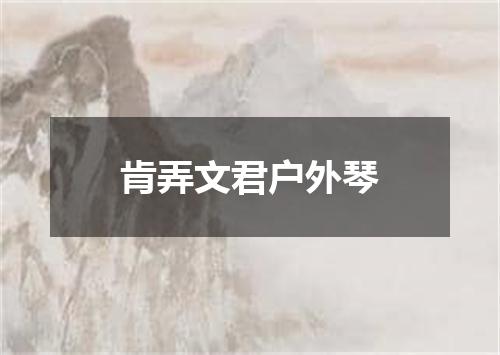 肯弄文君户外琴