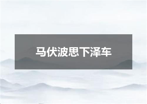 马伏波思下泽车
