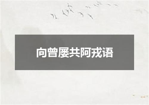 向曾屡共阿戎语