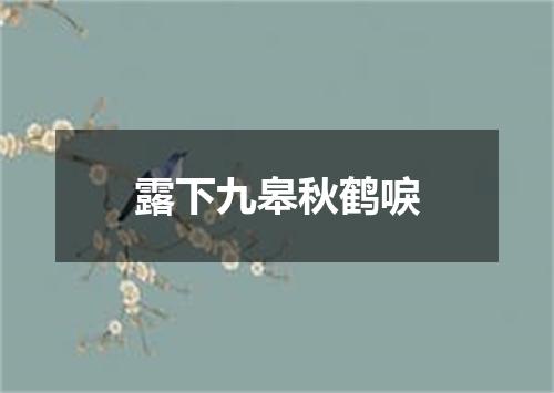 露下九皋秋鹤唳