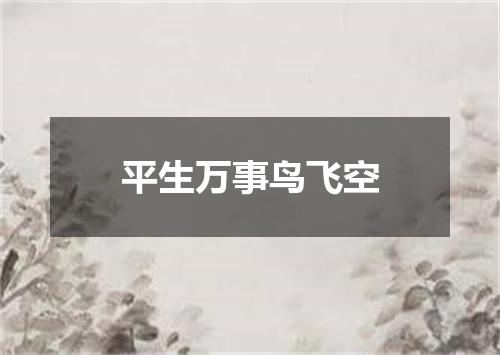 平生万事鸟飞空