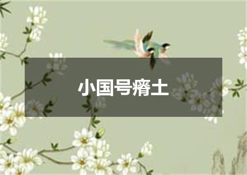 小国号瘠土