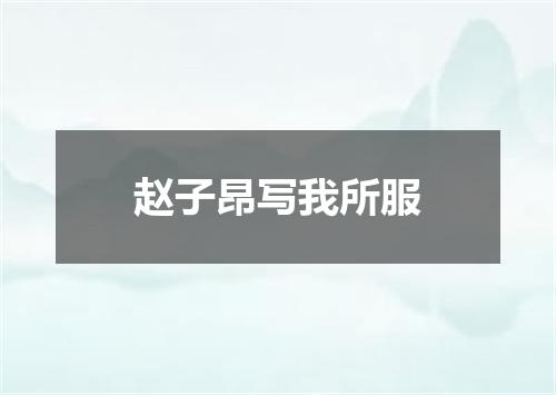 赵子昂写我所服