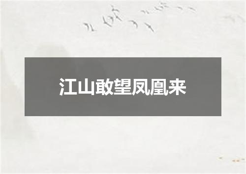 江山敢望凤凰来