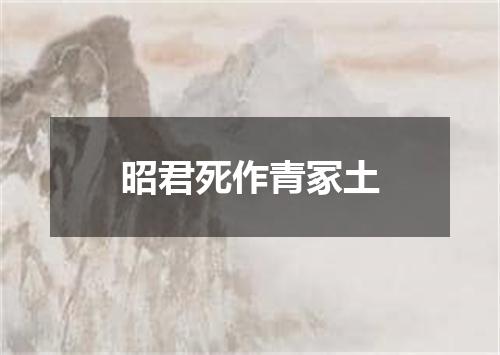 昭君死作青冢土