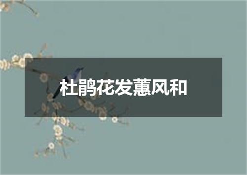 杜鹃花发蕙风和
