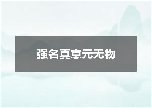 强名真意元无物