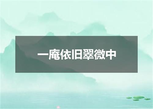 一庵依旧翠微中