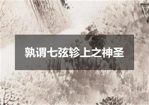 孰谓七弦轸上之神圣