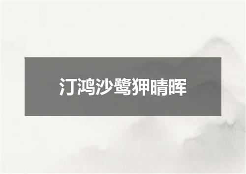 汀鸿沙鹭狎晴晖
