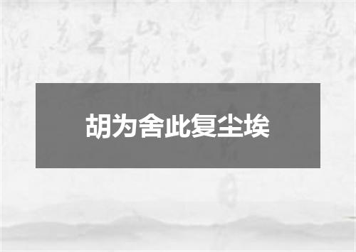 胡为舍此复尘埃