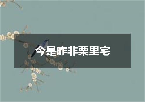 今是昨非栗里宅
