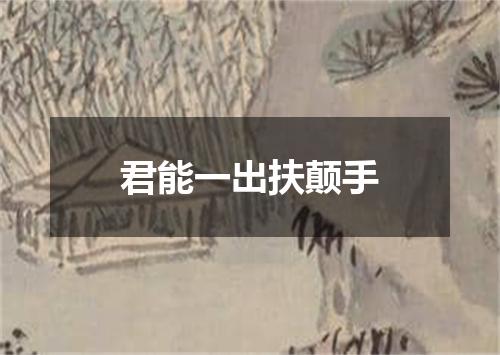 君能一出扶颠手
