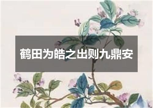 鹤田为皓之出则九鼎安