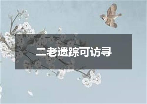 二老遗踪可访寻