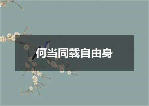 何当同载自由身