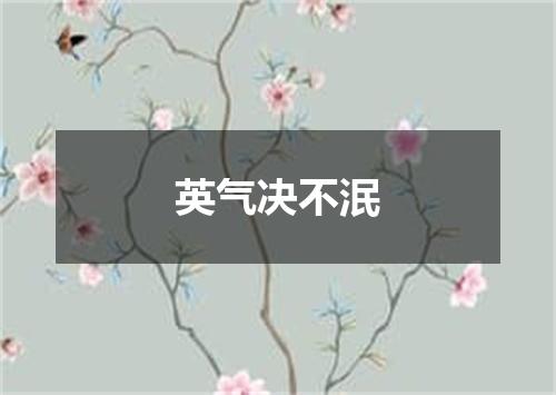 英气决不泯