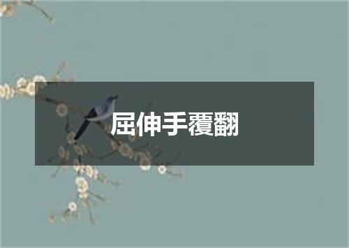屈伸手覆翻