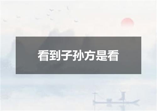看到子孙方是看